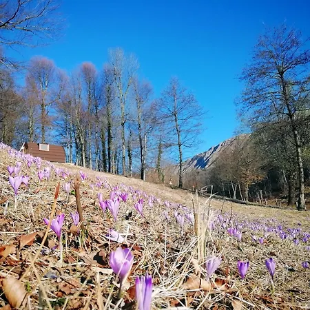 Gran Monte Horská chata Taipana