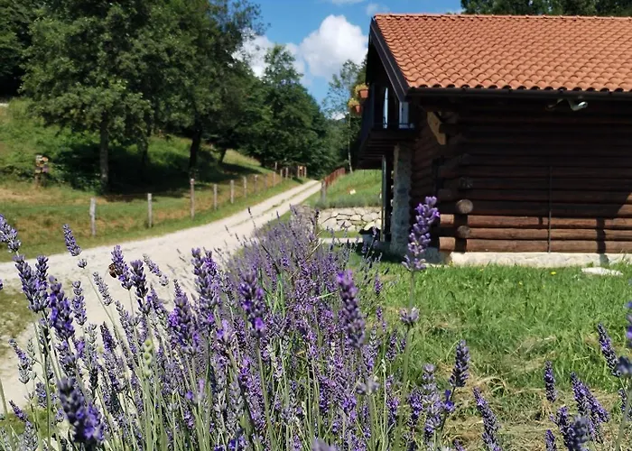 Σαλέ Gran Monte *