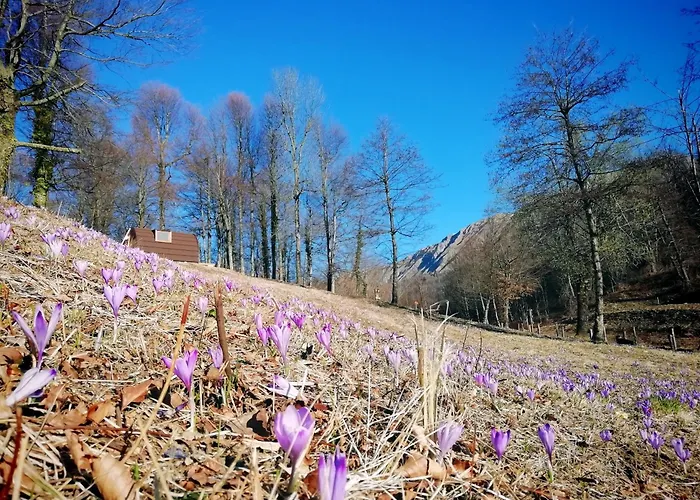 Gran Monte Σαλέ Taipana